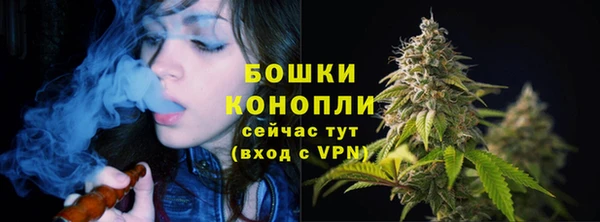 бутират Горнозаводск