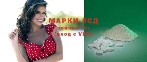 стаф Горняк