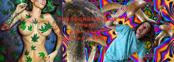 стаф Горняк