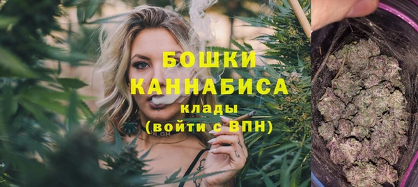 стаф Горняк