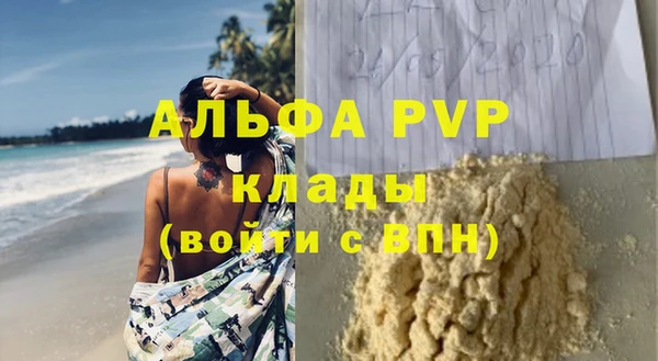 стаф Горняк