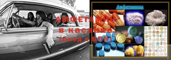 стаф Горняк