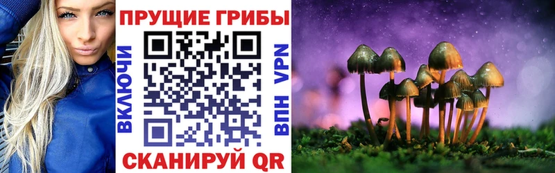 Псилоцибиновые грибы Psilocybine cubensis Дедовск