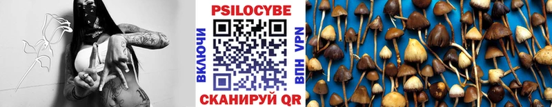 где купить наркотик Дедовск кракен Галлюциногенные грибы MAGIC MUSHROOMS
